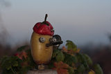 Портрет на един ГМО-картоф ; Коментари:25