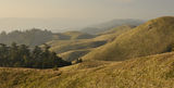 Hills of California ; comments:5