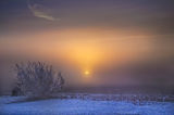 Winter Sunrise ; comments:19