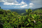 El Yunque ; comments:3