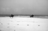 Езда на брега,по снега ; comments:5