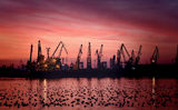Marine port Varna ; comments:55