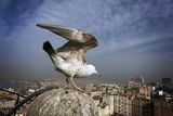 Galata Kulesi  - İstanbul, Türkiye ; comments:10