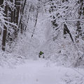 ATV снегорин в Ловния парк ; comments:1