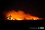 Bushfire in the savannah woodland at night in Angola. ; Коментари:2