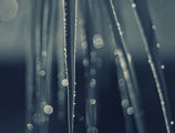 " stalactite bokeh of fireworks " ; comments:26