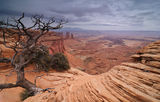 Canyonlands - Island in the Sky ; comments:21