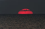 Sunrise with Venus-II-06.06.2012 ; comments:29