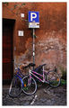 Trastevere ; comments:6