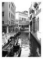 Venice ; comments:8