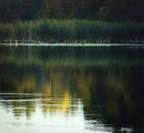 Lac des Fees in Gatineau Park ; comments:29