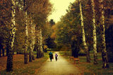 есен в парка ; comments:10