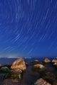 Star trails ; comments:13