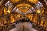 Natural History Museum, London ; comments:19