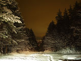 Първи сняг - гледка от Витоша ; comments:15