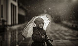 Waiting in the rain to see the train ; Коментари:59