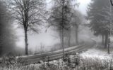 път в мъглата ; Коментари:6