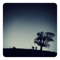Трима души чакат до едно дърво. Чакат някой си Годо! ; comments:57