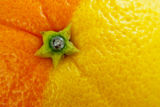 Портокал или Лимон? ; Коментари:9