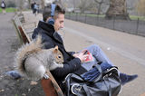 St. James Park... хора и животни съжителстват заедно :) ; comments:23