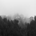 Foggy day ; Коментари:22