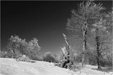 Зима в Стара планина ; comments:87