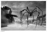 Maman, or the giant spider of the Guggenheim. ; comments:29