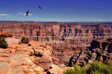 Grand Canyon ; comments:10