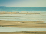 ...самотни плажове...и диви лебеди... ; comments:21