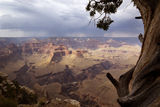 Storm at the North Rim ; comments:37