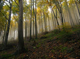 есенна гора ; comments:17
