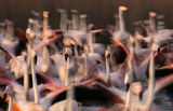 Law and Order. (Flamingos in Camargue) ; comments:42