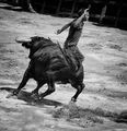 Entrada de Toros y Caballos-Segorbe 2013 ; Коментари:93