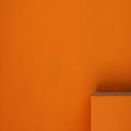 етюд в оранжево ; comments:28