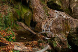Есенно на Крушунските водопади ; comments:32