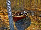 Лодка в гората ; comments:2