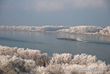 Скреж,студ и малко слънце...Дунав ; comments:29