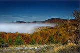 Есенни мъгли ; comments:6