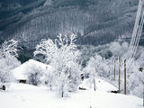 зима в Родопите ; comments:12