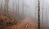Мъглата е пътят ; comments:2