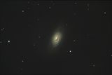 M64 - Blackeye - спирална галактика в Косите на Вероника (NGC 4826) ; comments:14