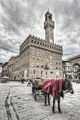 Piazza della Signoria, Florence ; comments:9