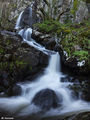 Боянски водопад ; comments:2