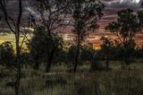 Sunset in the Bush ; comments:2