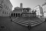 The Piazza di Santa Maria in Trastevere ; comments:4