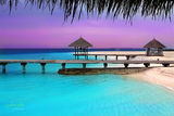Colors Of Maldives ; comments:8
