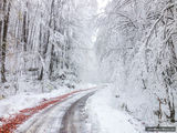 Първи сняг в Родопите ; comments:20