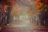 Есенна мъгла ; comments:18