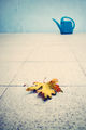Есента се измисля сама! ; comments:23