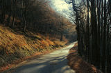 Планинско пътче с есенно-зимни мотивчета ; Коментари:8